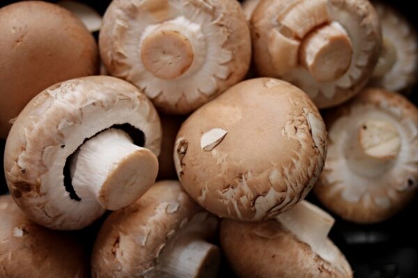 mushrooms, brown, heads