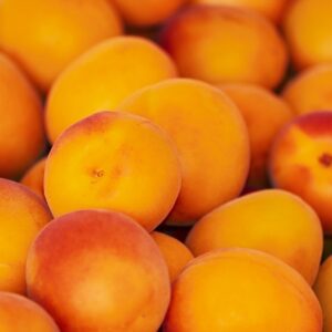 apricots, apricot, fruit