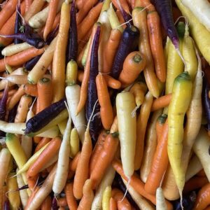 carottes couleurs