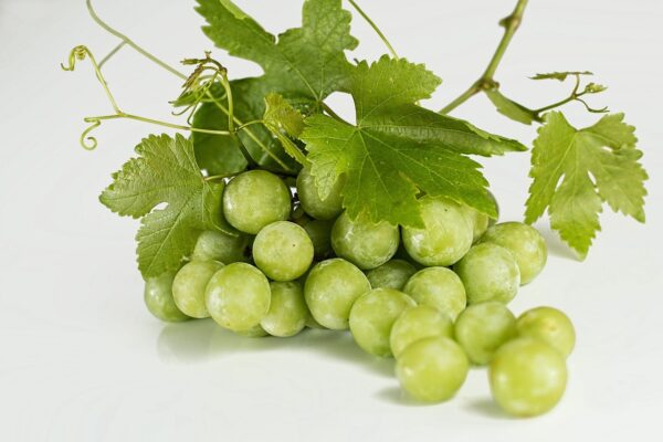 grapes, green, fruit-582207.jpg