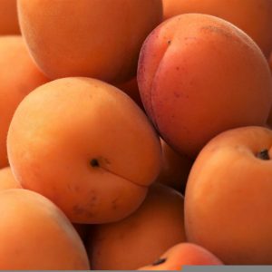abricot remyvouslivre.fr