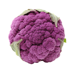Choux Fleurs Violet