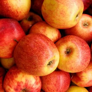 Pomme reine des reinette